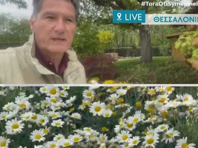 Πώς θα  κάνετε πολύχρωμα μπαλκόνια, ταρά...