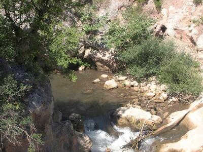 Αίγιο: Η άτυπη "αυτοψία" στο σ...