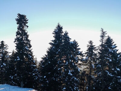 Κρήτη: 30χρονη πεζοπόρος γλίστρησε σε πλ...