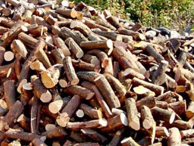 Αγρίνιο: Ξεκίνησε η προμήθεια καυσόξυλων