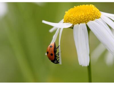 Η "Οικολογική Δυτική Ελλάδα" β...