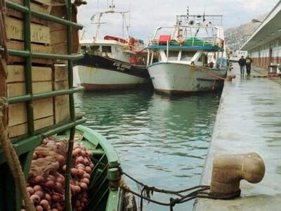 Πάτρα: Κατάσχεσαν  150 κιλά τσιπούρας στ...