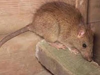 Σοκ στα Χανιά:  20χρονος ποδοσφαιριστής ...