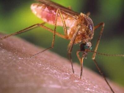 Κι όμως υπάρχει...ελληνικός διαδικτυακός...