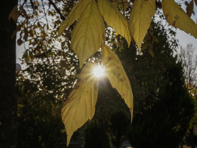 Καιρός σήμερα: «Πασχαλινός» με 20άρια 