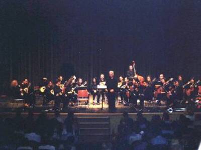 Ορχήστρα Νυκτών Εγχόρδων