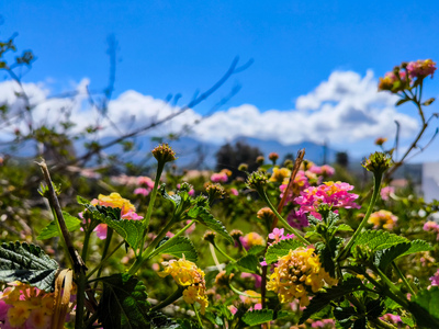 Ο καιρός του Πάσχα: Από το «φθινόπωρο» τ...