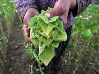 Αιτωλοακαρνανία: Διέξοδος το Σ-53, αλλά...