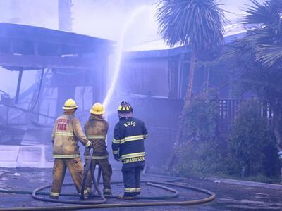 Σκύλος πέθανε για να σώσει μωρό από φωτιά