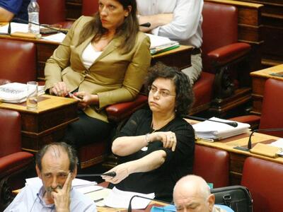 Βαλαβάνη: «Τινάζετε στον αέρα τη ρύθμιση...