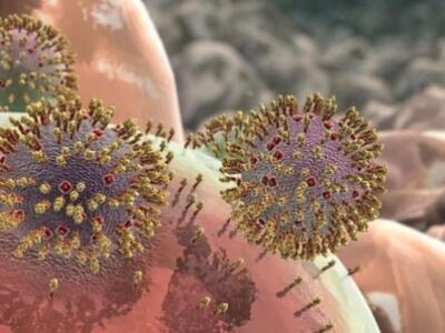ΔΕΙΤΕ πώς ο ιός της γρίπης εισβάλλει στο...