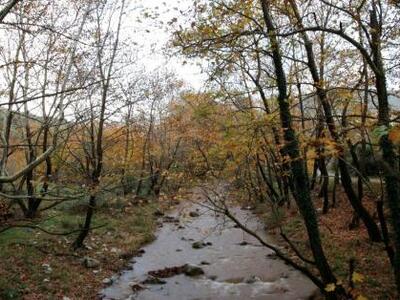 Οι ενέργειες του Υπ. Αγροτικής Ανάπτυξης...