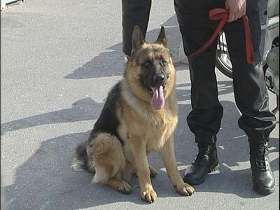 Πάτρα: Έκτορας - Ο φύλακας του λιμανιού