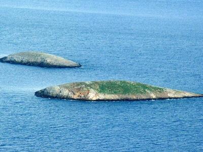 Τι απέγιναν οι τούρκοι κομάντος των Ιμίων