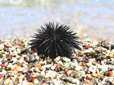 Το συνηθισμένο λάθος που κάνουμε όταν πα...