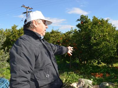 Σε αδιέξοδο οι αγρότες της Δυτικής Aχαΐα...