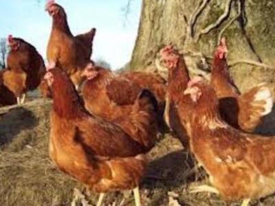 Αιτωλοακαρνανία: Αίσιο τέλος για την περ...