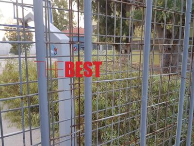 Κλαδιά δέντρων έσπασαν και κατέληξαν ακό...