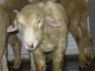 Δυτική Ελλάδα: Σε επιφυλακή η Περιφέρεια...