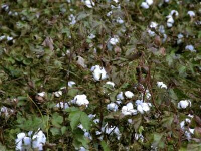 Το Αριστοτέλειο Πανεπιστήμιο Θεσσαλονίκη...