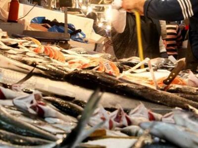 Πάτρα: Κατασχέθηκαν 100 κιλά αλιεύματα σ...