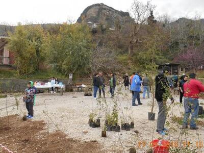 Πάτρα: Δενδροφύτευση δίπλα στον ποταμό Σ...