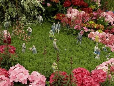 Γιατι μειώθηκαν τα διαθέσιμα φυτά στη Βρετανία