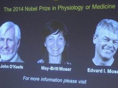 Για το «GPS του εγκεφάλου» απονεμήθηκε τ...