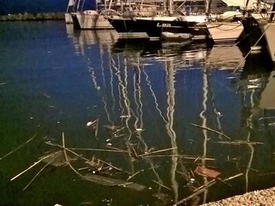 Σκάφη ανάμεσα σε σκουπίδια στην Μαρίνα τ...