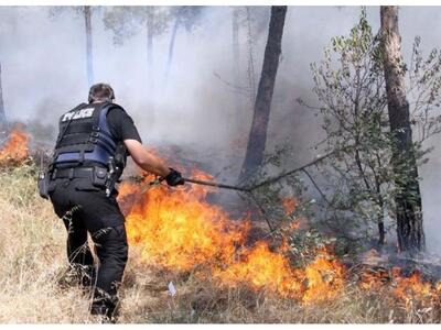 Σε εξέλιξη μεγάλη φωτιά κοντά στο Ηράκλε...