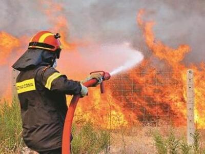 Φωτιά στα όρια Αχαϊας και Ηλείας στις πλ...