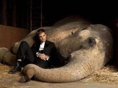 Τι παίζουν τα σινεμά της Πάτρας 