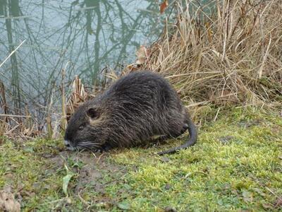 Πάτρα: Τα παιδιά παίζουν παρέα με τους.....