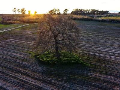 Ξαναγράφεται ο χάρτης των ελληνικών εξαγωγών