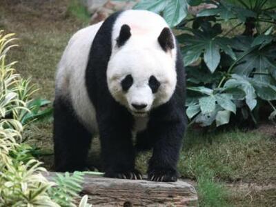 Τα πάντα στη μάχη κατά των ανθεκτικών βακτηρίων