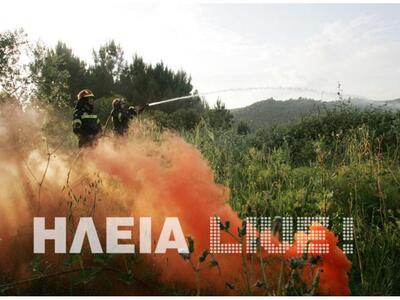 Ηλεία: Αναζωπυρώθηκε η φωτιά και απειλεί...