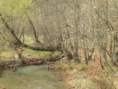 Ακράτα: 1η Κατάβαση Κράθη ποταμού
