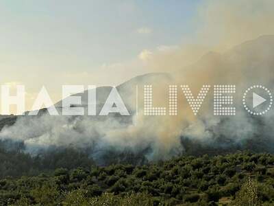 Ζαχάρω: Μεγάλη φωτιά στην περιοχή της Σμέρνας 