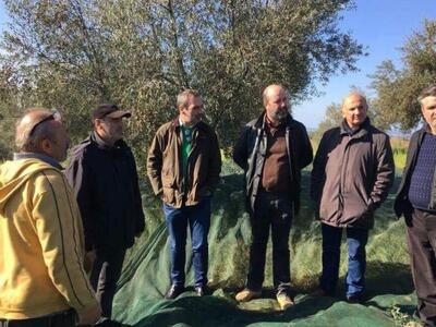 Ανδρέας Κατσανιώτης: «Ελαιοπαραγωγή και ...