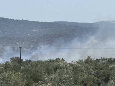 φωτο από φβ Δυτική Αχαΐα