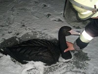 Βέλγιο: Δύο πυροσβέστες σκοτώθηκαν προσπ...