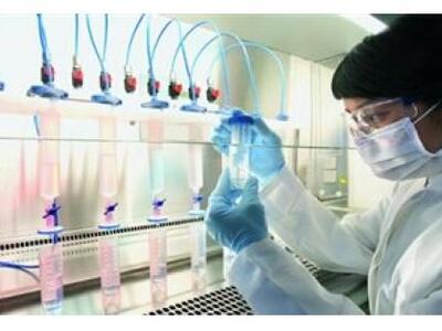 Νορβηγία: Η γρίπη των πτηνών αιτία θανάτ...