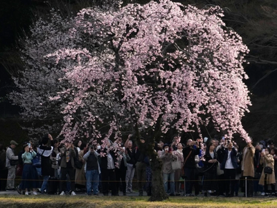 AP Photo/Shuji Kajiyama