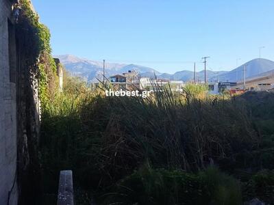 Ένας βάλτος κάτω από τον κόμβο των παραγλαύκειων