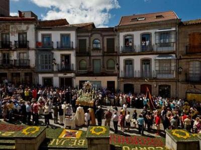 Οι Ισπανοί μεταμορφώνονται σε δέντρα για μία μέρα