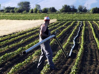 Περιφέρεια Δυτικής Ελλάδας: Πρώτη στο «κ...