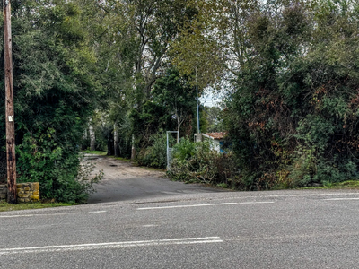 Διπλό φονικό στη Φοινικούντα: Δύο νέα πρ...