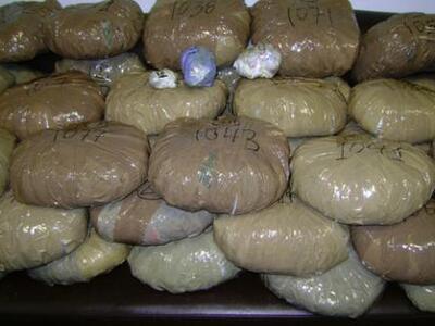 Μεσσήνη: Εντόπισαν φυτεία χασίς, συνελήφ...