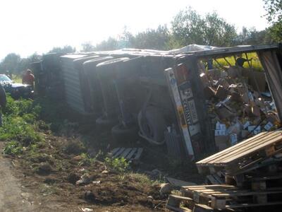 Αιτωλ/νια: Γέμισε η άσφαλτος ελιές