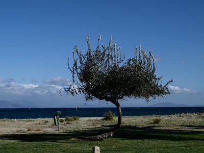 Καιρός αύριο: Άνοδος της θερμοκρασίας σε...